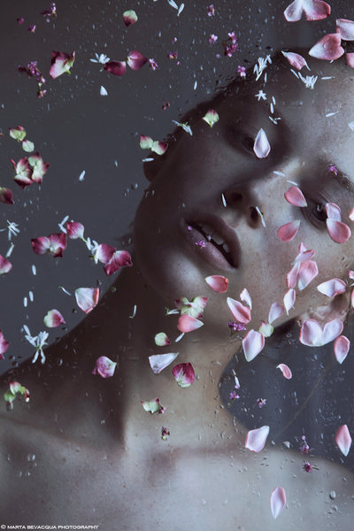ollebosse:  (Stephanie) THROUGH THE GLASS by M0THart 