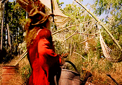American Horror Story: Freakshow