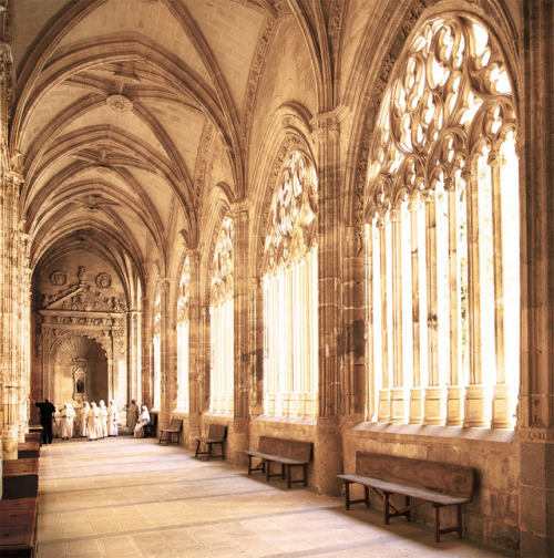 vivalcli:Segovia Cathedral, España by Eric Esquivel