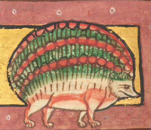 hedgehog Worksop Bestiary, England c. 1185NY, The Morgan Library &amp; Museum, MS M.81, fol. 10v