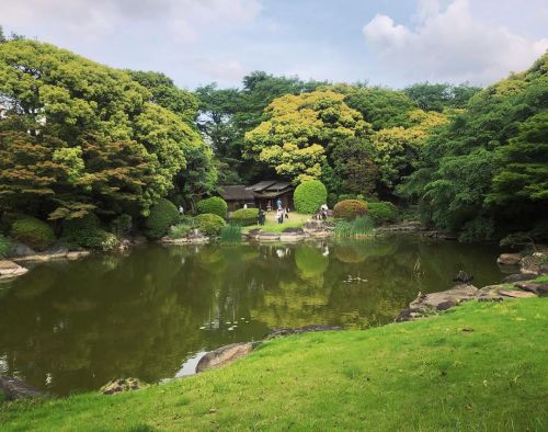 ＼秋の庭園公開情報＆おにわさん更新情報／ 東京国立博物館庭園 Tokyo National Museum Garden, Taito-ku, Tokyo の写真・記事を更新しました。 ーー寛永寺庭園を