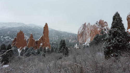 earthporn-org:  Garden of the Gods after a fresh layer of snow. Colorado Springs, CO.  Reblog for Colorado baby