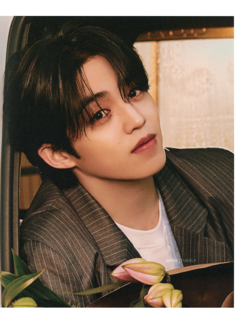 [scans] your choice, ver. one side | s.coups (set 1 of 3)take out with full credits