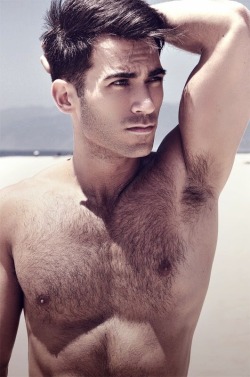 hairy nice men