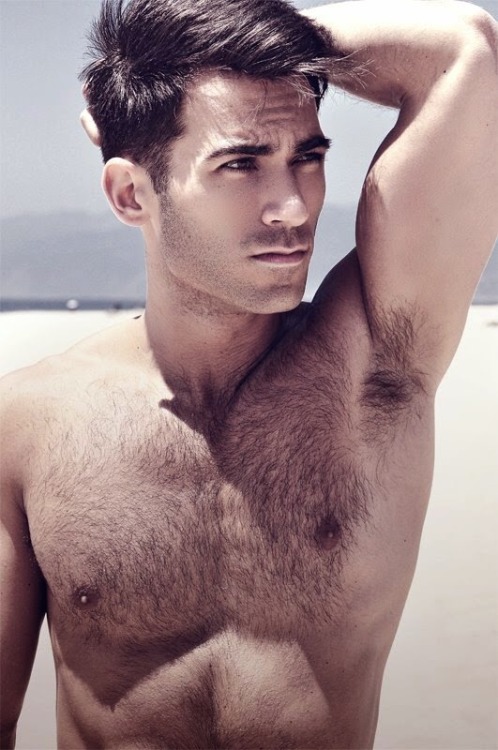 hairy nice men adult photos