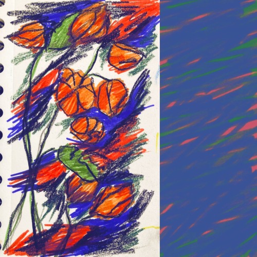 Blossoms That Kept Aloof