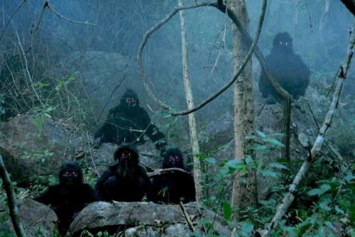 “Uncle Boonmee Who Can Recall His Past Lives,” a surreal, dreamlike Thai film with creat