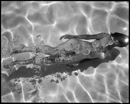 nakednews: In her new book, The Swimming Pool, Deanna Templeton captures eight summers worth of vis