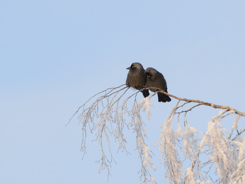 Just few friends hanging around