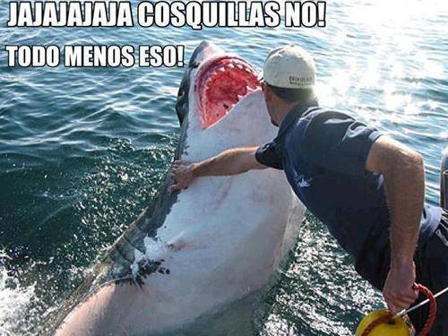 frobdick:  xdd 