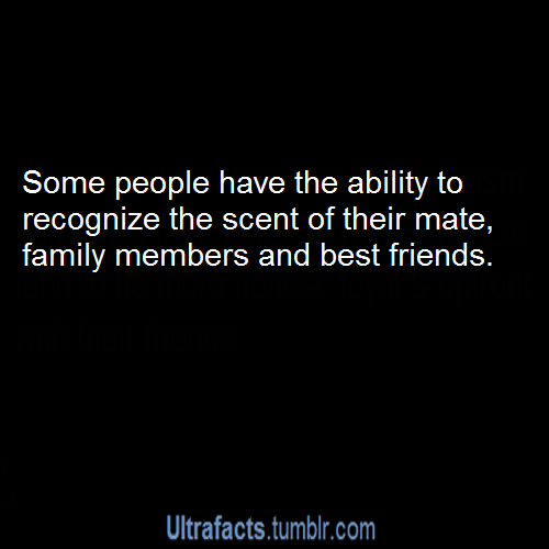 ultrafacts:  More facts? Visit the Ultrafacts Blog 