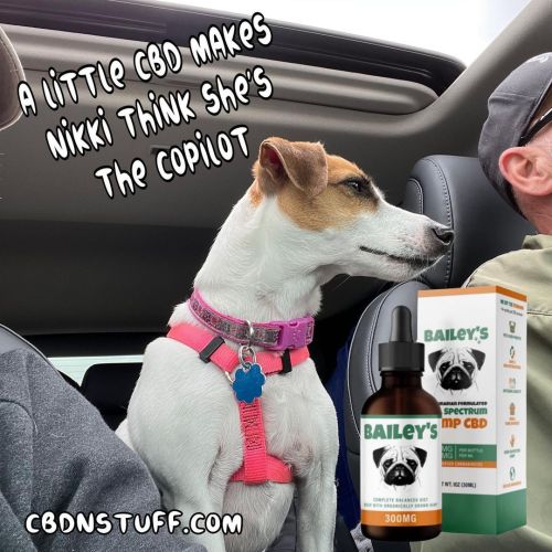 FREE SHIPPING | Baileys CBD oil for dogs was formulated with the help of veterinarian Dr. Robert J s