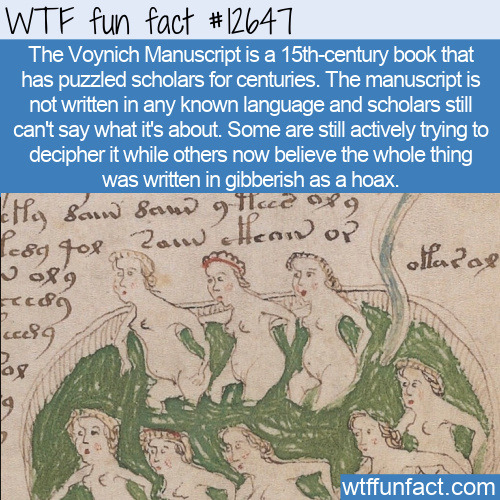 The Voynich Manuscript has stumped scholars for centuries. Click to read the full fact.