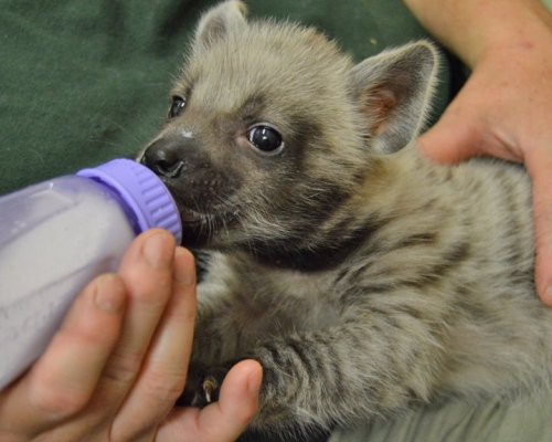 Happy New Yeens!