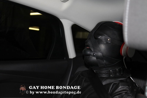 BondageToPOG.DE