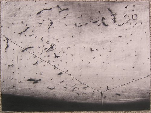 vjeranski:Sean CotterEchoes compressed charcoal on paper56 x 75 cm