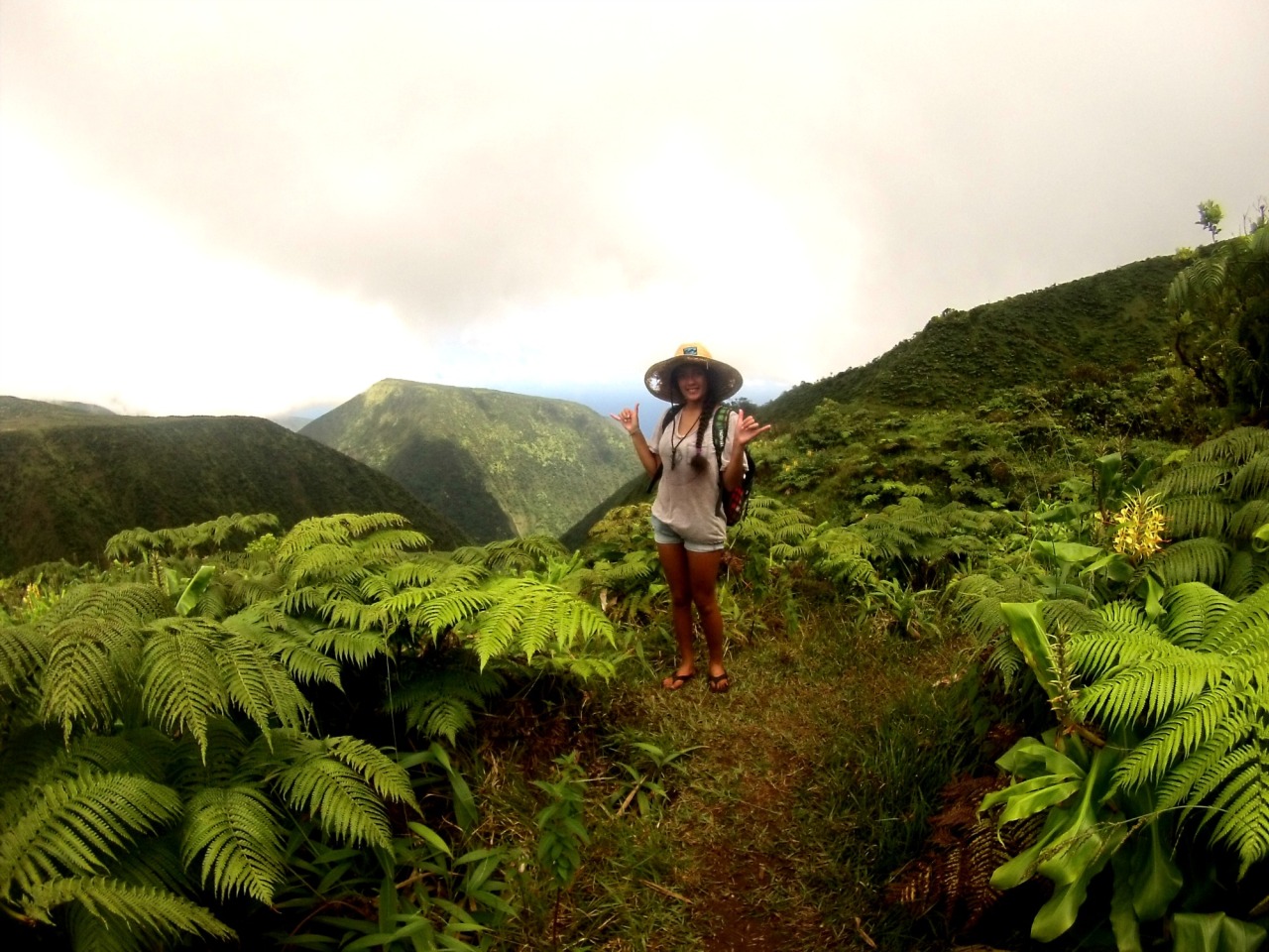 auliim:  Ho’i i na kupuna, literally. I feel for the ancestors having to walk everywhere! 
