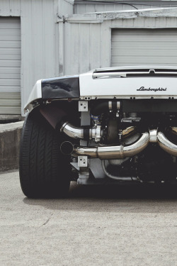 wormatronic:  Twin Turbo | More 