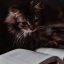 that1cat