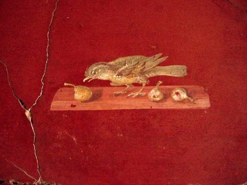 napolinostalgia:Fresco from the Villa Poppaea Villa Oplontis, Torre Annunziata,