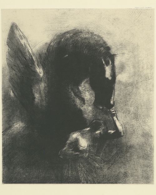 Pégase captif.Estampe.Art by Odilon Redon.(1840-1916).Graveur.