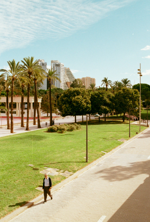 valencia, noviembre 2019kodak gold 200nikon f90nikkor 28-85 f/3.5-4.5 af www.instagram.