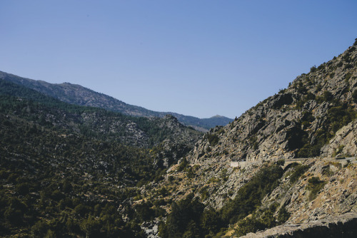 on the road // Corsica 08.17