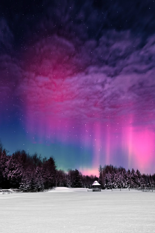 Porn foresity:  Moonlight Aurora II || Mike TaylorThe photos