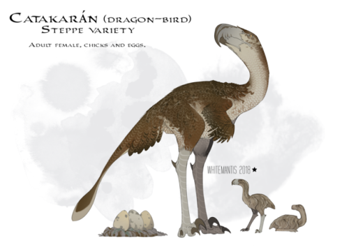 Timeless Bestiary: Steppe Catakarán (dragon-bird)Steppe catakaráns, as their name implies, live main