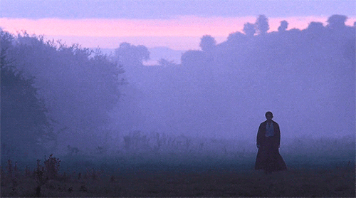 sadie-sinks:I could more easily forgive his vanity had he not wounded mine.Pride & Prejudice (20