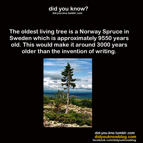 did-you-kno:  Source 
