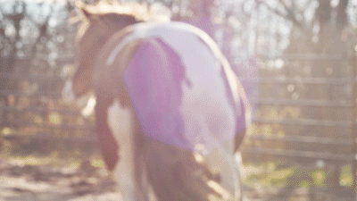 paintthesky-duke: round pen sessions vc - @ponyblues 