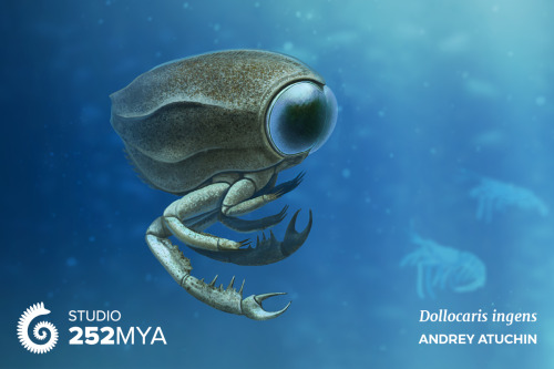 252mya:Dollocaris ingensArtwork by Andrey AtuchinDollocaris was a predatory marine arthropod from Ju