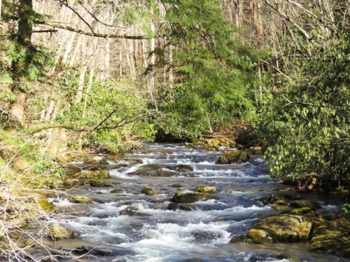 Oconaluftee #Greatsmokymountainsnationalpark #FindYourPark #smokymountains #greatsmoky #tennessee #n