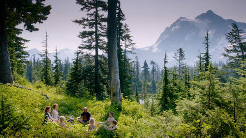 glorfinn:  “Captain Fantastic”, a film by Matt Ross (2016), starring Viggo Mortensen and cute children in the forests of the Pacific Northwest. 