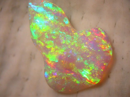 Opal Auctions