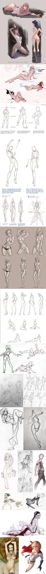 The Curves