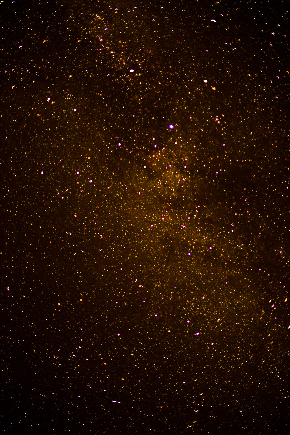 northskyphotography:  Galaxy by North Sky Photography 