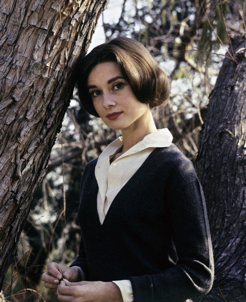 rareaudreyhepburn:Audrey Hepburn photographed by Sid Avery at her home in Los Angeles, California, 1
