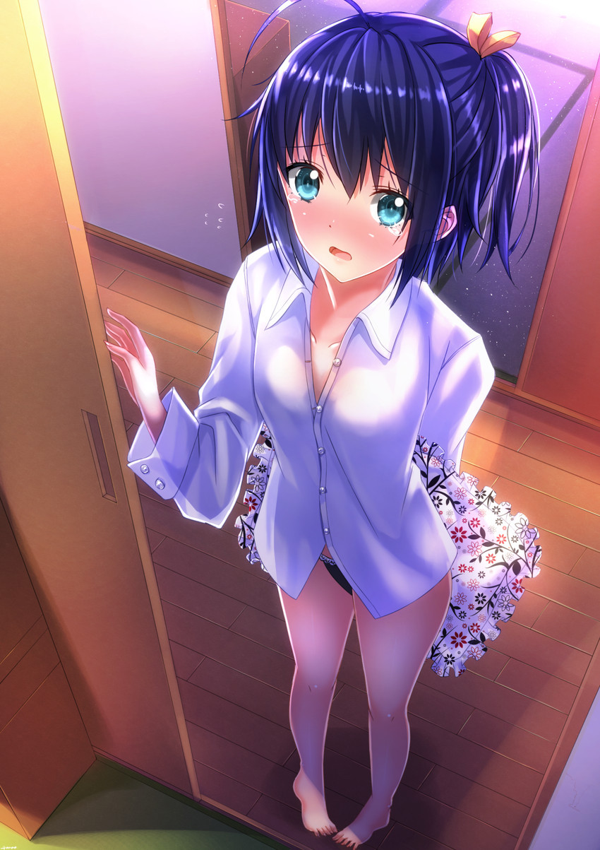 ecchi animee