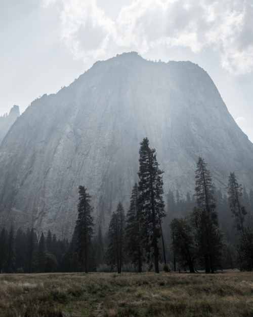 mlundphotography: Yosemite Valley Summer 2017 Instagram // Prints 