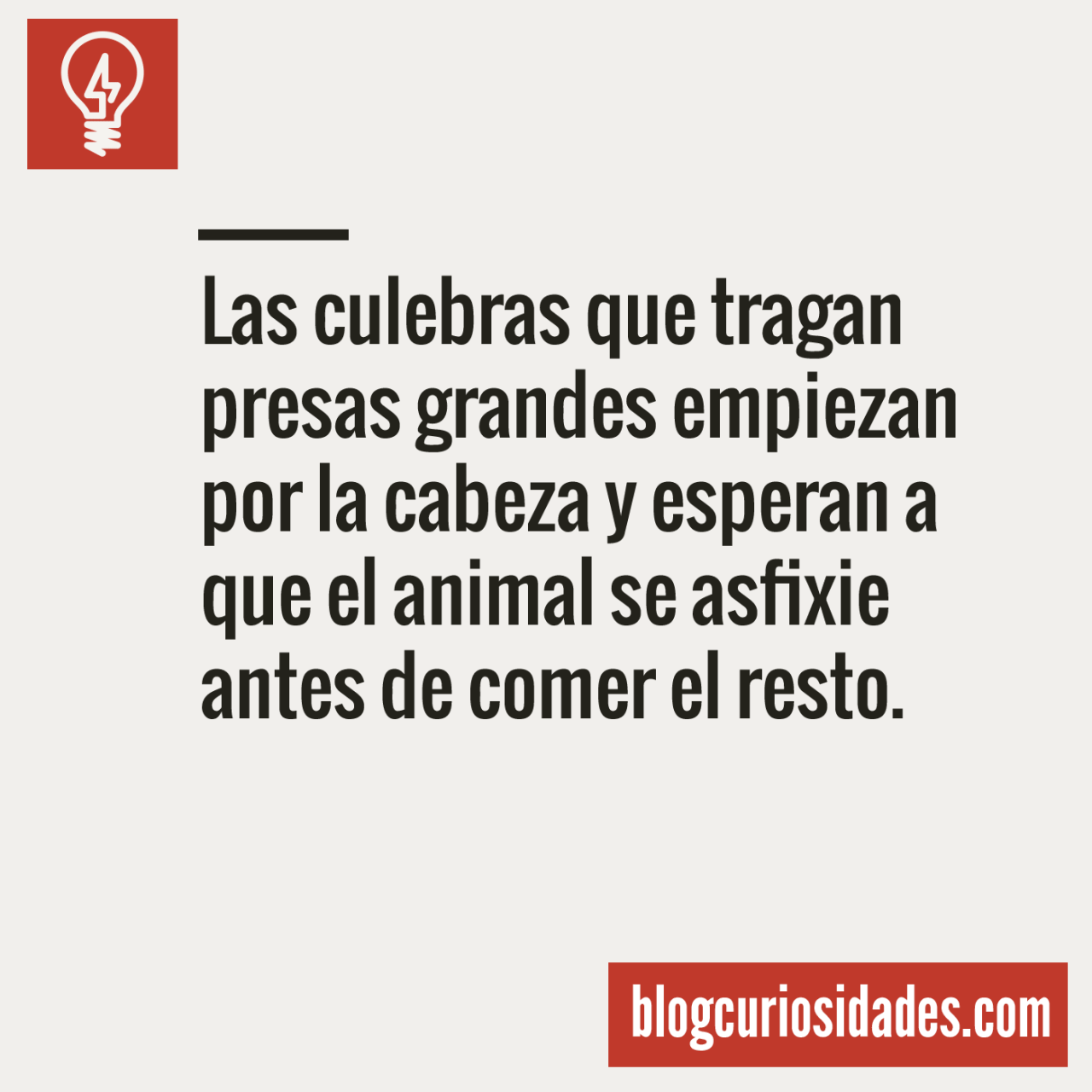 curiosidads:  Blog CuriosidadesFacebook || Twitter