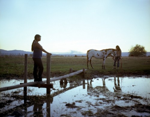 Erika Larsen: People of the HorseEmbraced first for war, hunting, and transport, horses became spiri