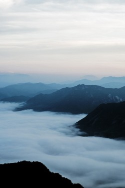 alecsgrg:  Sea of clouds | ( by Roxwell )