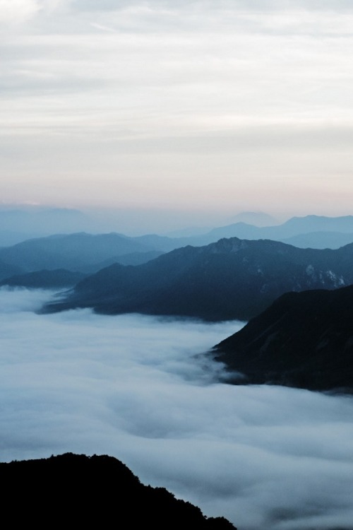 alecsgrg:  Sea of clouds | ( by Roxwell )