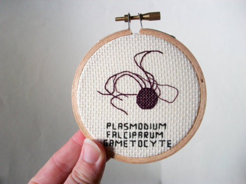 amsplendor: etsy: Alicia Watkins’ embroidered microbes. PRIONS ARE NOT MICROBES THAT BOTHERS ME. 