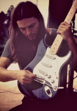 johnny-cool:  David Gilmour