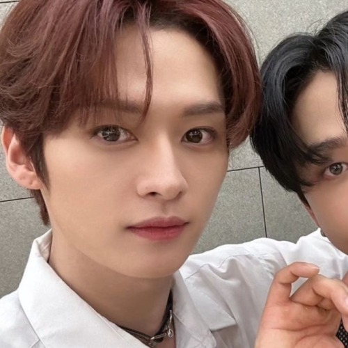 Lee Know + Seo Changbin Matching Icons/metadinhas.