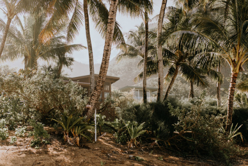drxgonfly: Hawaii | Kauai (by Justyna Zduńczyk)