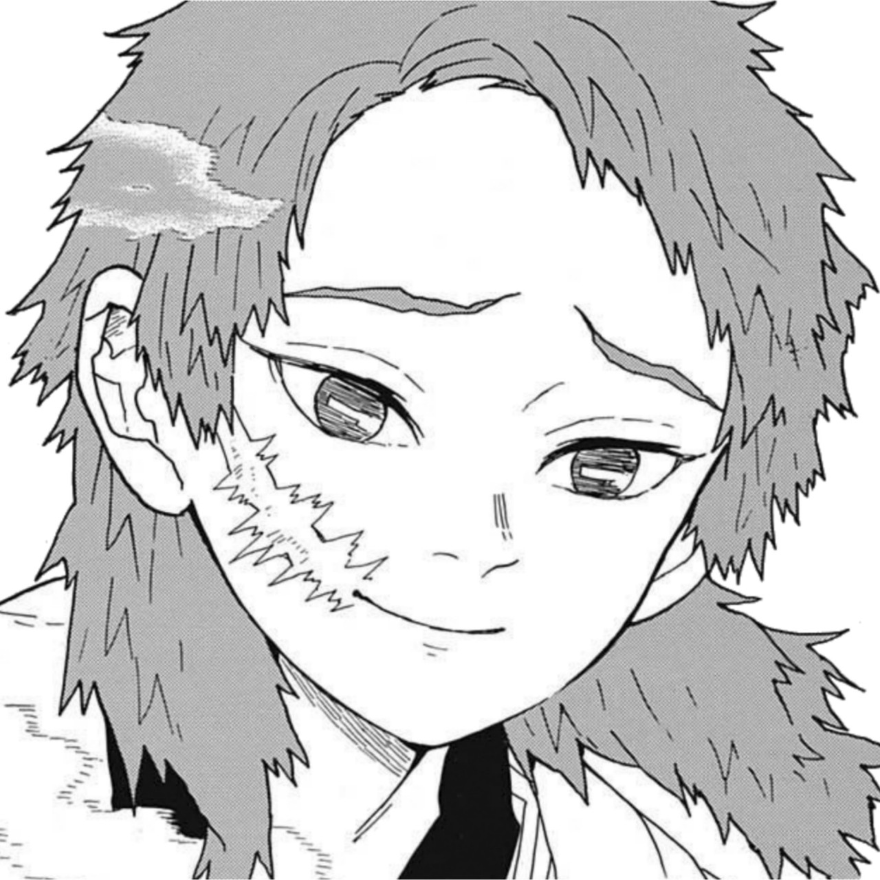 mangaterial — kamado tanjiro・manga icons pls like if you save